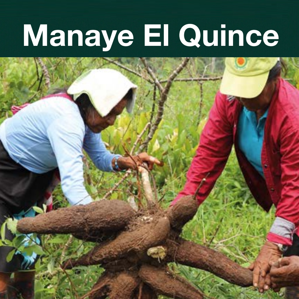 ElQuince