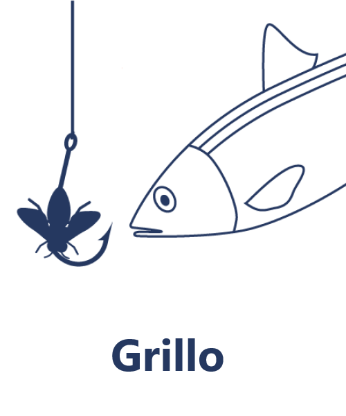 Grillo