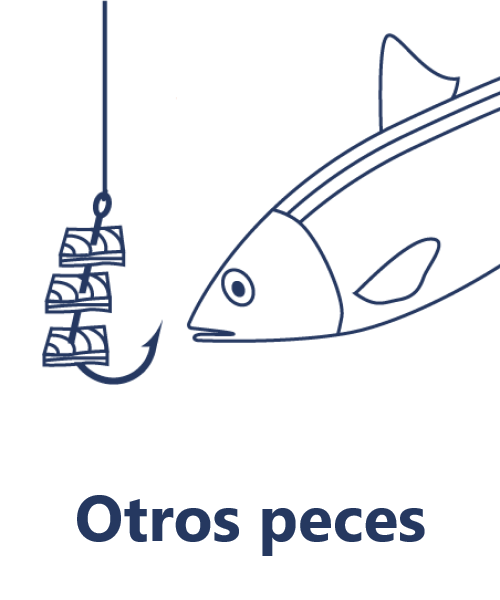 Otros peces