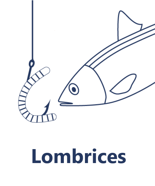 Lombrices