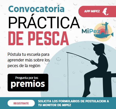 Solicita la informacion a tu monitor de MiPEZ