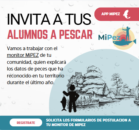 Solicita la informacion a tu monitor de MiPEZ