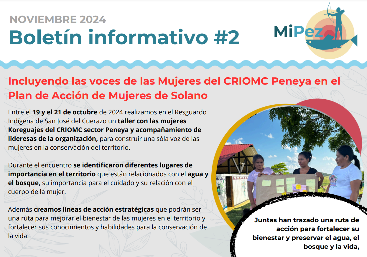 Boletín 2 - Noviembre 2024