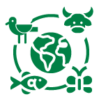 Protección