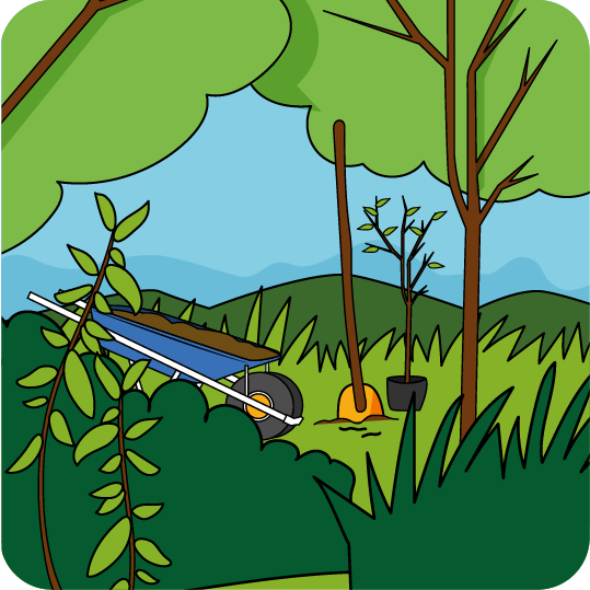 Agroforestería