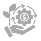 Desarrollo económico y social